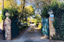 WhatsApp Image 2019-09-09 at 18.54.01