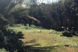 WhatsApp Image 2019-09-09 at 18.54.13